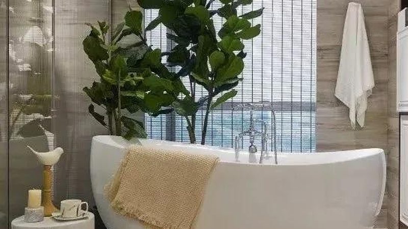 手持花洒价格之谜：揭秘影响价格的关键因素